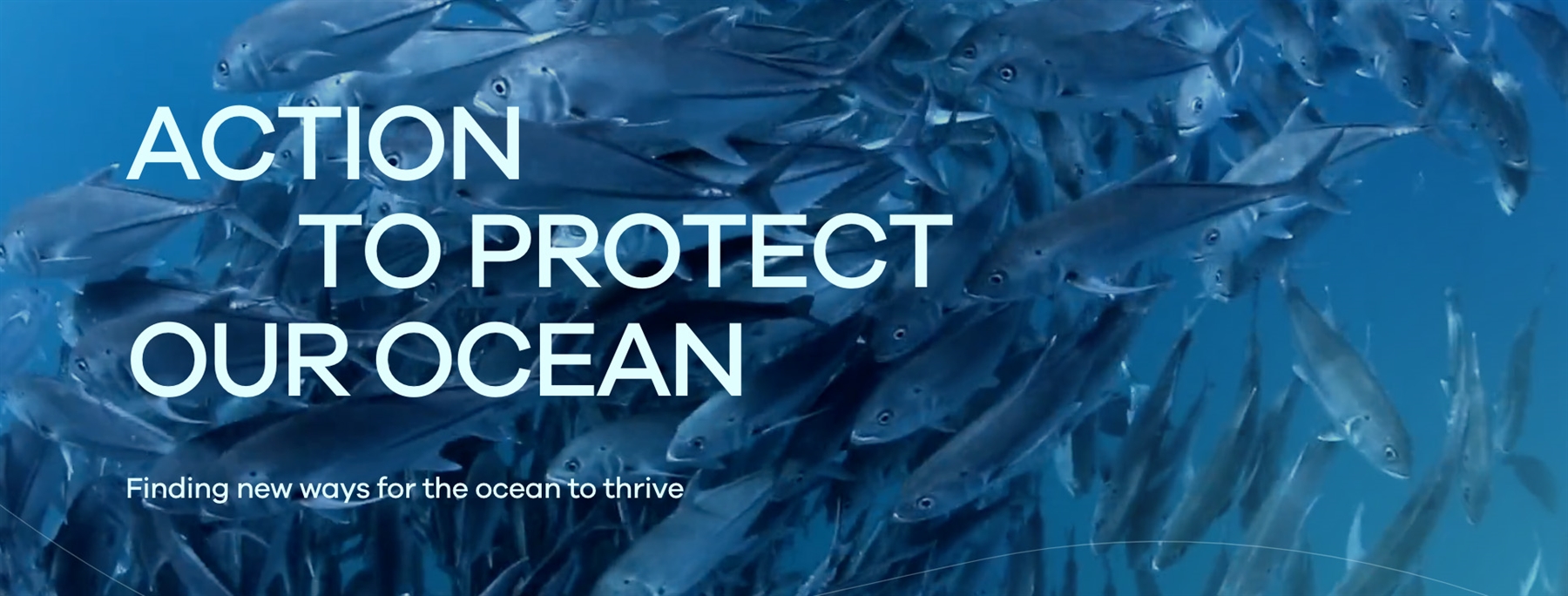 Blue Marine Foundation